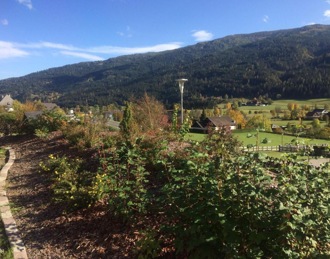 Haus Georgi Villa Sankt Lorenzen ob Murau Kültér fotó